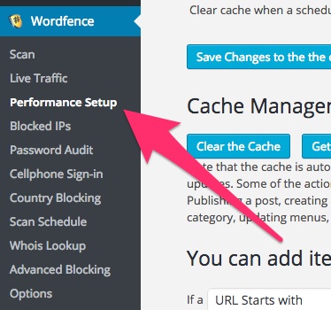 A screenshot showing the Wordfence plugin's 'Performance Setup' menu item in WordPress