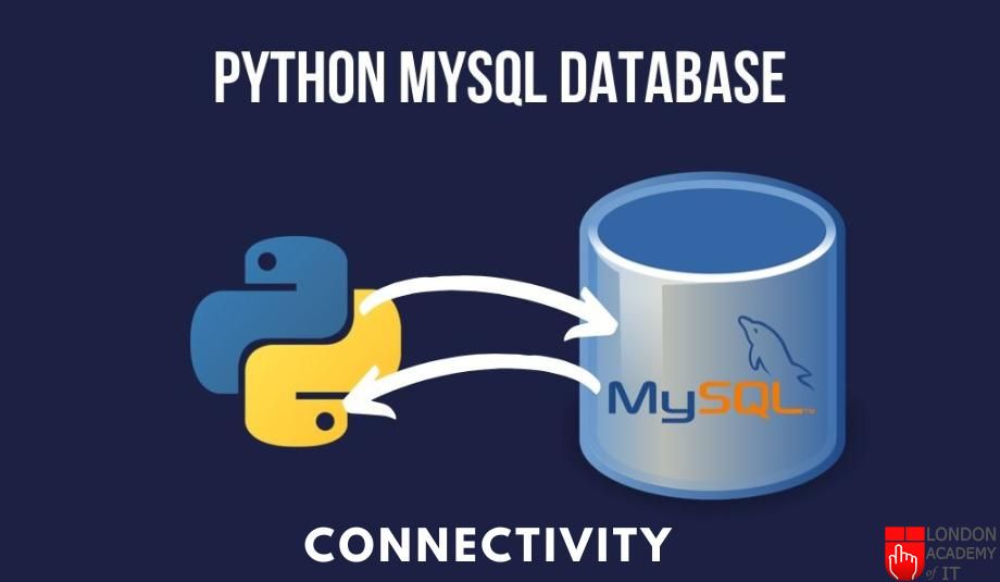 How to Set Up and Connect to MySQL on a Windows VPS Server from Python: A Step-by-Step Guide